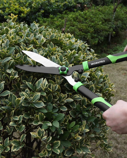 Using 3 Piece Garden Shears Set For Pruning And Hedge Trimming, 20 Inch Hedge Shear, on bush, outdoors.