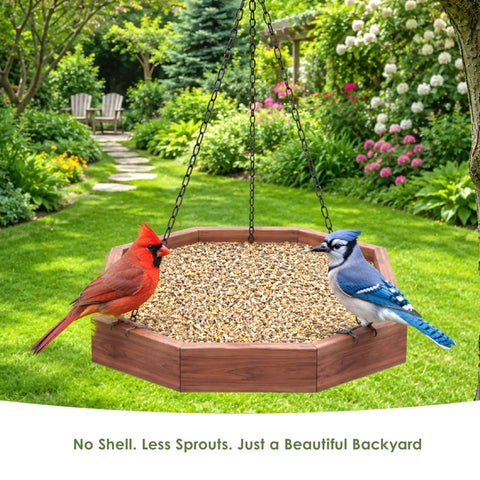 Top Shelf No Mess Wild Bird Seed Mix For Backyard Songbirds Loaded With Hearty Peanuts Rich Safflower And Striped Sunflower To Attract Cardinals Woodpeckers Blue Jays And Colorful Finches From Nine Pound Bag in hanging feeder with cardinal and blue jay.