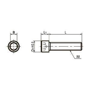 Technical drawing of SNSS-M2-5-SD NBK Socket Head Cap Screws - Small Head - Pack of 10. - Made in Japan, dimensions shown.