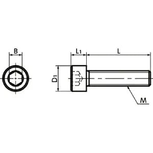 Technical diagram of SNSMN-M5-20 NBK Hex Socket Head Cap Screws (Monel 400 equiv.)- Made in Japan for smooth motion and stable alignment.