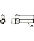 Technical diagram of SNSS-M10-30-RY NBK Socket Head Cap Screws Low Temperature Black Chrome. - Made in Japan, showing dimensions.