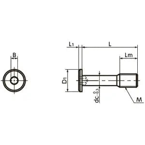Technical drawing of SSCHS-M5-20 NBK Socket Head Cap Captive Screws - Special Low Profile - Made in Japan, side and top view
