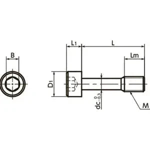 Technical diagram of ✝️ SSCLS-M6-20 NBK Socket Head Cap Captive Screws - Low Profile - Made in Japan, showing dimensions and structure.