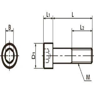 Technical diagram of ✝️ SNST-M6-20 NBK Hex Socket Head Cap Screws - Titanium- Made in Japan, showing dimensions and specifications.